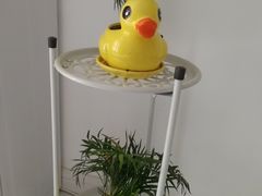 -秦美花卉(天朗·莱茵小城2期店)