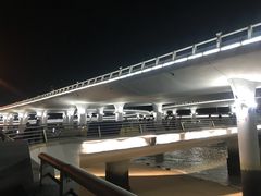 -演武大桥观景平台