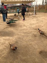 -萌宠亲子动物乐园(槐房万达店)