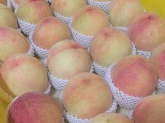 -老袁家蜜桃农场·阳山水蜜桃