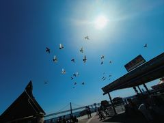 -星海广场