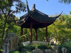 -上海醉白池公园
