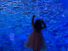 -成都浩海立方海洋公园