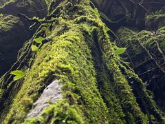 -山王坪喀斯特国家生态公园