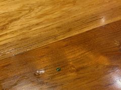 -协茂森老钟家(鸿云悦街店)
