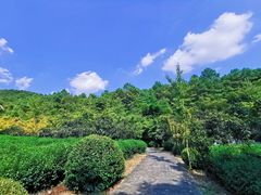 -九龙潭景区