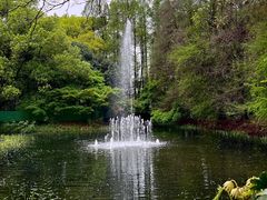 -上海共青森林公园