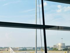 -新加坡航空公司(ION)