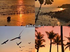 -深圳湾公园(南山区)