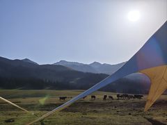 -新疆那拉提国家旅游度假区