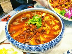 毛血旺-红辣椒·川菜·火锅(科华路店)