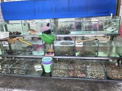 -湘里湘亲饭店(闸坡店)