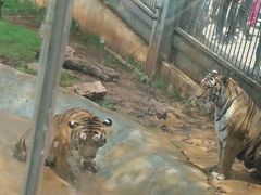 -昆明动物园