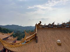 -东莞市大岭山森林公园