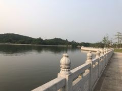 -鹤之洲湿地公园