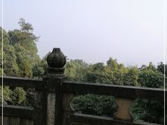 -南山植物园