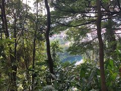 -武吉知马自然保护区