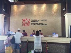 -三亚亚龙湾人间天堂鸟巢度假村