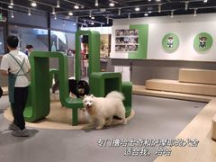 -瑞虹新天地月亮湾