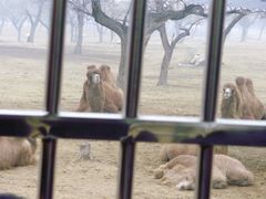 景点-西安秦岭野生动物园