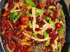 -老板恋上鱼(印象城店)