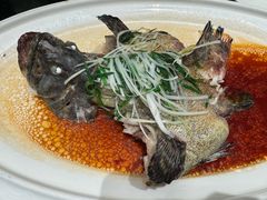 -渔人码头(中南店)