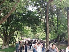 -敬亭山风景名胜区