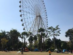 -凤岭儿童公园