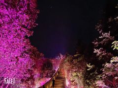 -永康小长城