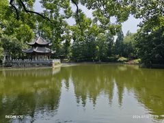 -习家池