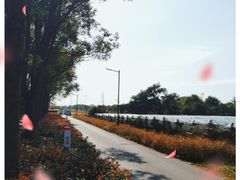 -嘉北郊野公园