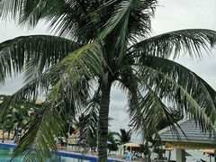 -那琴半岛地质海洋公园