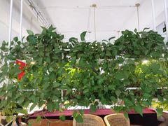 -岳姥姥饺子(泺文路店)