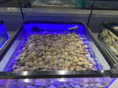 -圣罗巴海鲜自助(黑金店)