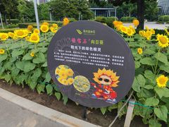景点-郑州植物园