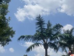 -乐华城·88度温泉乐园
