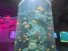 -福州罗源湾海洋世界旅游区