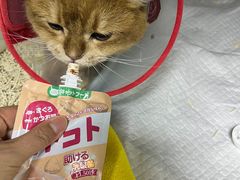 -美联众合动物医院·24h转诊中心