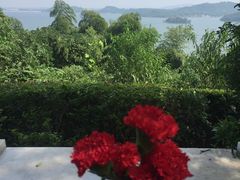 -天目湖涵田半山温泉