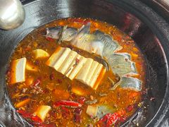 -刘淑芬·活鱼铁锅炖(北京首店)