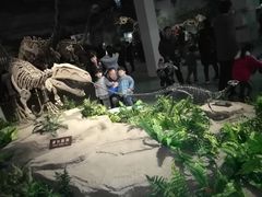 -自贡恐龙博物馆