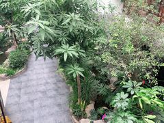 -滕头生态酒店(奉化店)