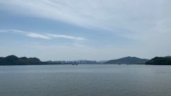 -侨治发型