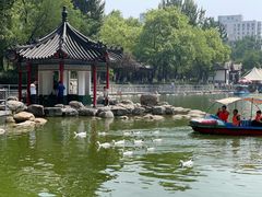 -莲湖公园