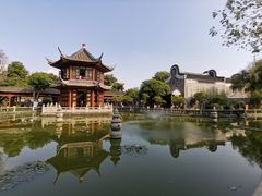 -碧江金楼