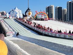 -沈阳奥体冰雪嘉年华