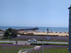 -南戴河旅游度假区
