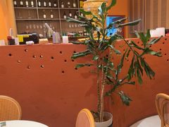 -美泰·Mangothai·清迈云街(天空之城店)