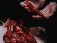 -澜棠海鲜(余姚阳明古镇店)