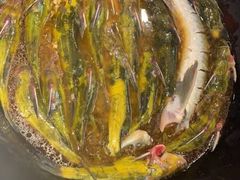 大嘎鱼-荣德灶台鱼(圣泉寺店)